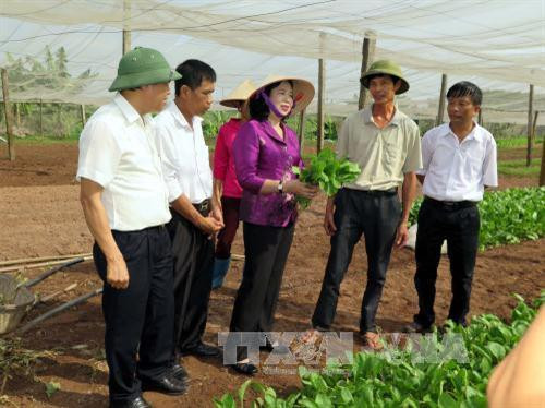 Hà Nội đầu tư xây dựng nông thôn mới