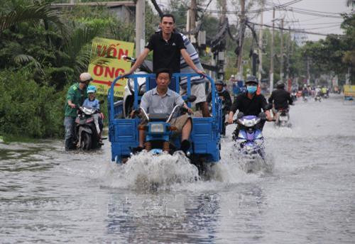Thành phố Hồ Chí Minh: Triều cường lên cao, đường phố thành “sông”