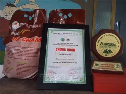 Gia Lai hướng tới phát triển các sản phẩm đặc trưng vùng cao