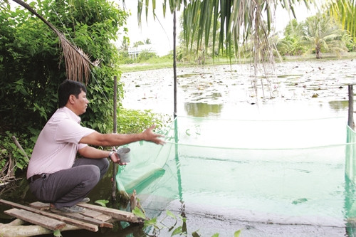 Anh Kim Khỏe vượt khó làm giàu