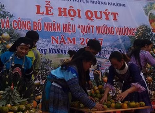 Khai mạc Lễ hội quýt và công bố nhãn hiệu "Quýt Mường Khương" năm 2017