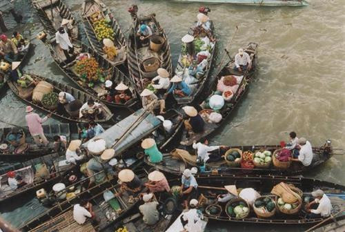 Hậu Giang đánh thức tiềm năng du lịch nông nghiệp