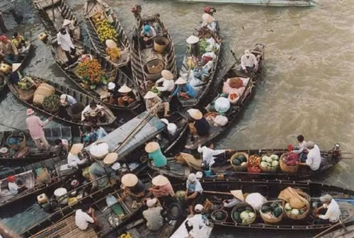 Hậu Giang đánh thức tiềm năng du lịch nông nghiệp