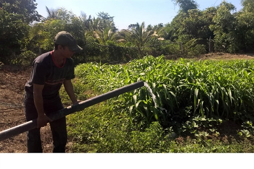 Đối phó với xâm nhập mặn nghiêm trọng tại vùng hạ lưu sông Dinh