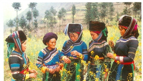 Người Cờ Lao