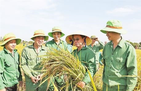 Doanh nhân Trần Mạnh Báo - Người “đối thoại với cánh đồng”