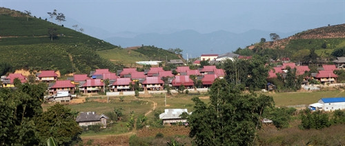 Đồng bào tái định cư Sơn La đón xuân no ấm trên quê hương mới