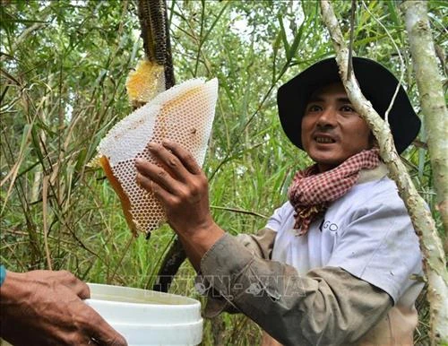 Cà Mau phát triển thương hiệu các sản phẩm chủ lực