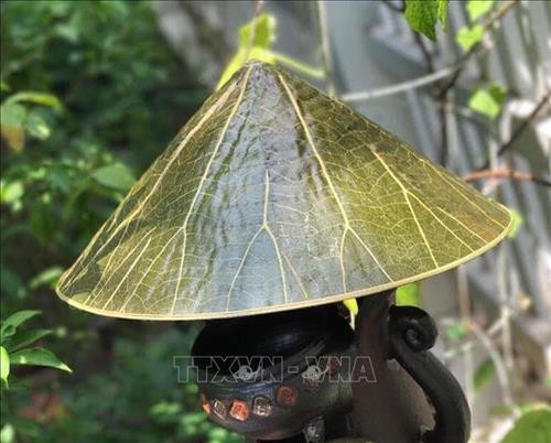 Những sản phẩm độc đáo nâng giá trị loài sen ở Huế