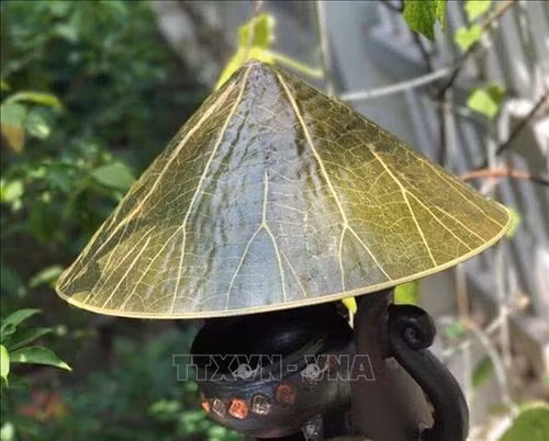 Những sản phẩm độc đáo nâng giá trị loài sen ở Huế