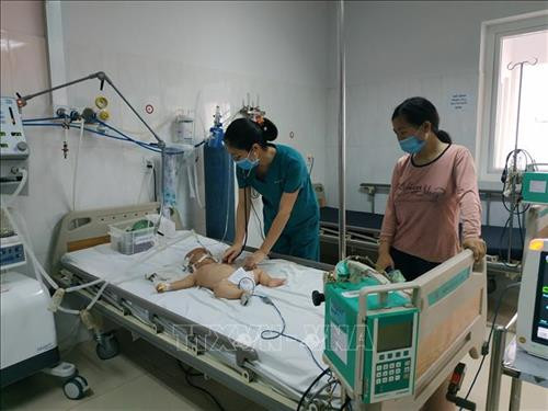 Đắk Lắk ghi nhận hai trường hợp mắc viêm não Nhật Bản
