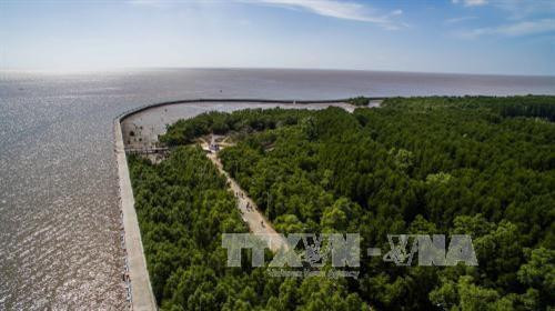 Quy hoạch phát triển bền vững Vườn Quốc gia Mũi Cà Mau