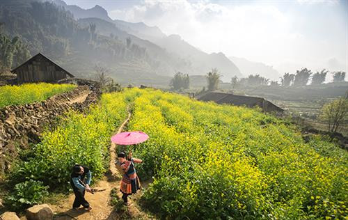 Những điểm du lịch ấn tượng nhất tại Lào Cai