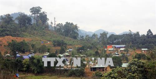 Xuân về trên làng mới Khe Chữ