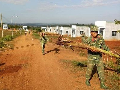 Sắc Xuân trên vùng đất Tiểu khu 119 huyện Bù Gia Mập