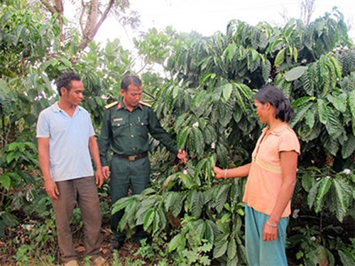 Đắk Nông đẩy mạnh xóa đói giảm nghèo