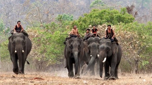 Trồng trọt và chăn nuôi ở vùng Tây Nguyên