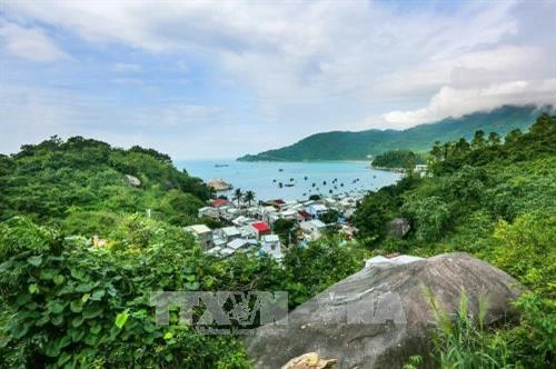 Nỗ lực giữ gìn, bảo tồn, phát huy giá trị Khu dự trữ sinh quyển thế giới Cù Lao Chàm