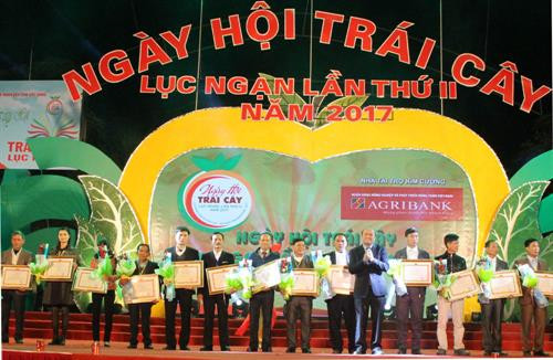 Ngày hội trái cây Lục Ngạn - Bắc Giang lần thứ II năm 2017