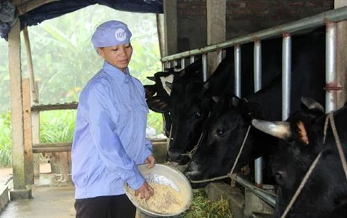 Thái Nguyên thực hiện đồng bộ các giải pháp giảm nghèo bền vững