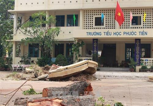Hàn Quốc viện trợ Việt Nam một triệu USD khắc phục hậu quả bão số 12