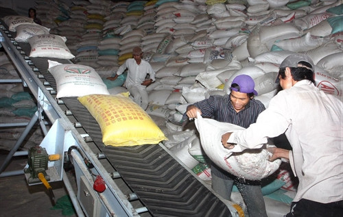 Đổi mới để gạo Việt Nam có giá trị cao hơn