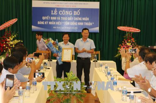 Công bố nhãn hiệu chứng nhận “Tôm giống Ninh Thuận”