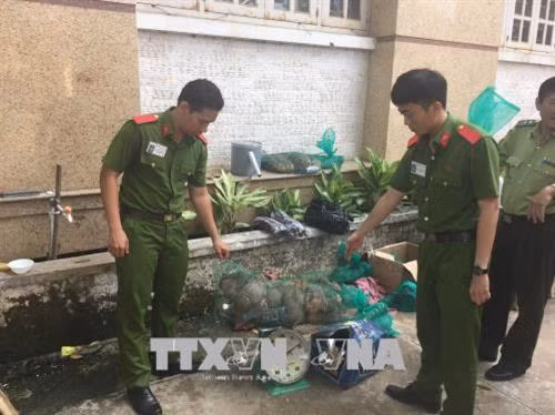 Tăng cường hợp tác bảo tồn các loài động vật hoang dã nguy cấp