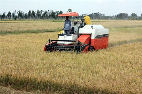 Phê duyệt danh mục Dự án chuyển đổi nông nghiệp bền vững