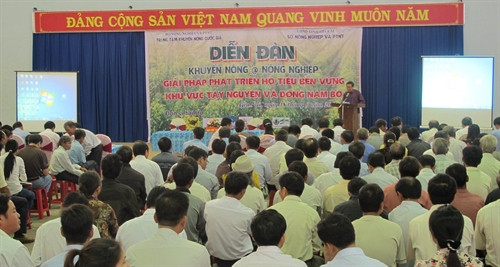 Tìm giải pháp phát triển hồ tiêu bền vững khu vực Đông Nam bộ và Tây Nguyên