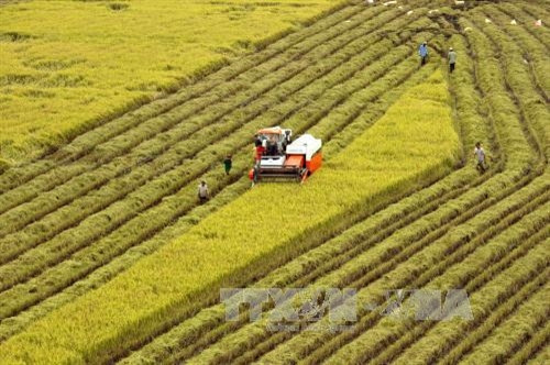 Chính sách mở rộng hạn điền: Cần tính thực tiễn nhiều hơn
