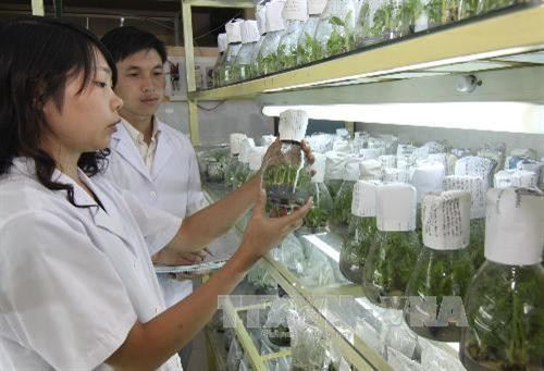 Danh mục công nghệ khuyến khích chuyển giao trong nông nghiệp