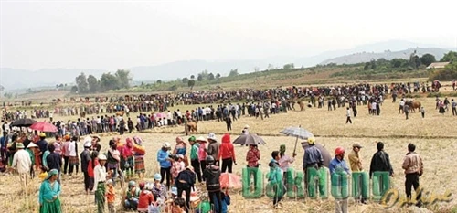 Bon làng vui hội mùa xuân