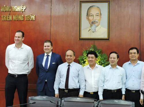 Cơ hội lớn cho thịt gà chế biến Việt Nam xuất khẩu đi EU
