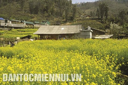 Cát Cát - điểm du lịch hấp dẫn của vùng cao Tây Bắc