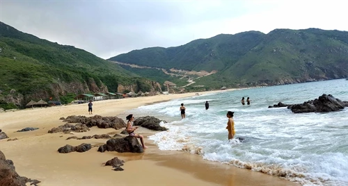 Bãi biển Kỳ Co - hoang sơ và thơ mộng