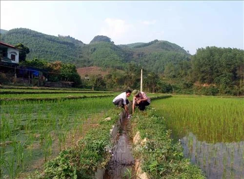 Xã Thái Bình - “Điểm sáng” đưa nghị quyết vào cuộc sống