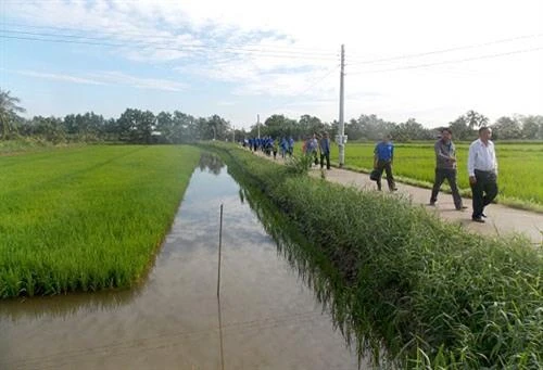 Phát triển mô hình sản xuất lúa hữu cơ sinh học