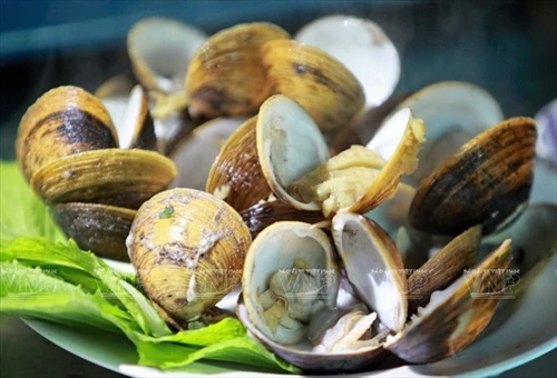 Vọp luộc gừng chấm mắm - đặc sản ở đất mũi Cà Mau