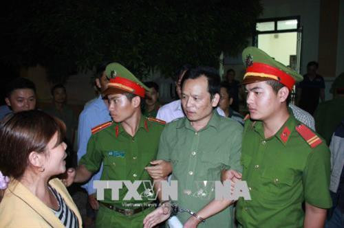 Xử lý nghiêm các đối tượng hủy hoại rừng