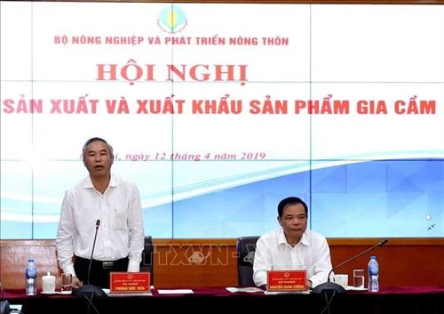 Phát triển chăn nuôi gia cầm hướng tới xuất khẩu