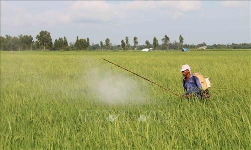 Trà Vinh khuyến khích nông dân tuân thủ lịch thời vụ để tránh hạn