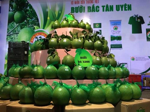 Bình Dương xây dựng thương hiệu cho cây ăn trái có múi