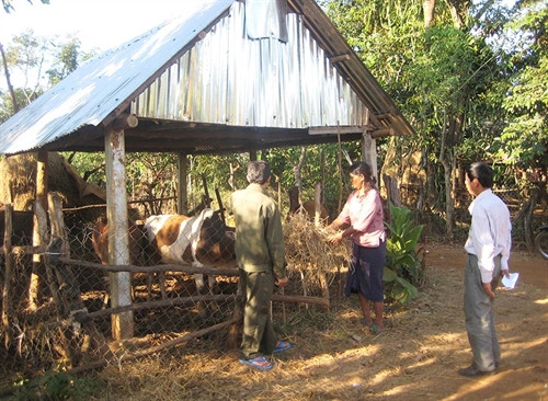 Thoát nghèo nhờ các chương trình, dự án hỗ trợ phát triển nông nghiệp