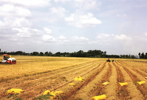 Góp ý dự thảo văn kiện Đại hội XII của Đảng: Bài 1- Những điểm mới trong dự thảo văn kiện Đại hội XII của Đảng về đánh giá kết quả thực hiện nghị quyết Đại hội XI, nhìn lại 30 năm đổi mới, về mục tiêu