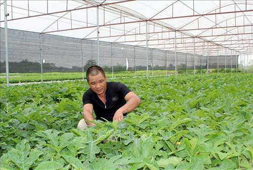 Huyện nghèo Nga Sơn huy động nguồn lực xây dựng nông thôn mới