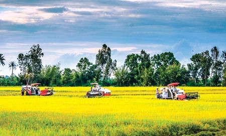 Vẻ đẹp Hậu Giang