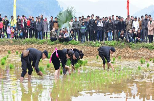 Kinh nghiệm sản xuất nông nghiệp qua tục ngữ người dân tộc Tày