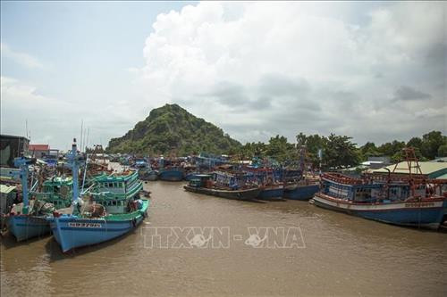 Khắc phục "thẻ vàng" IUU: Xử lý nghiêm các vi phạm về khai thác bất hợp pháp