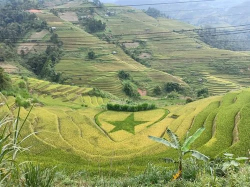 Mùa vàng trên vùng cao Mù Cang Chải